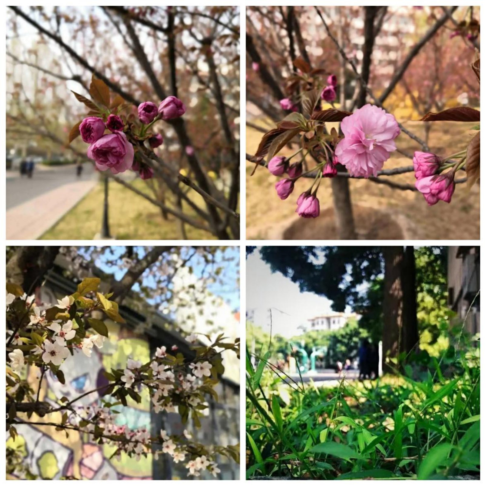 微信图片_20200423082234